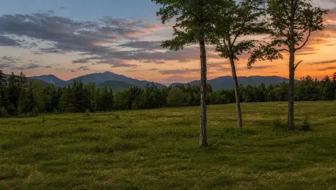 Private Adirondack Homesite