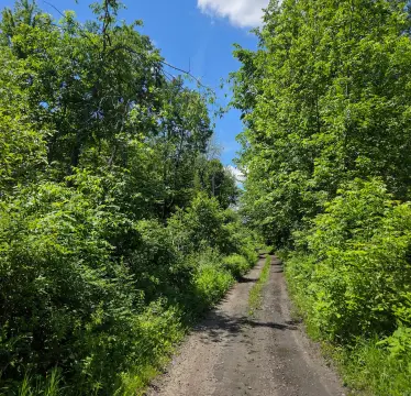 Hunting and Recreation Land Tract