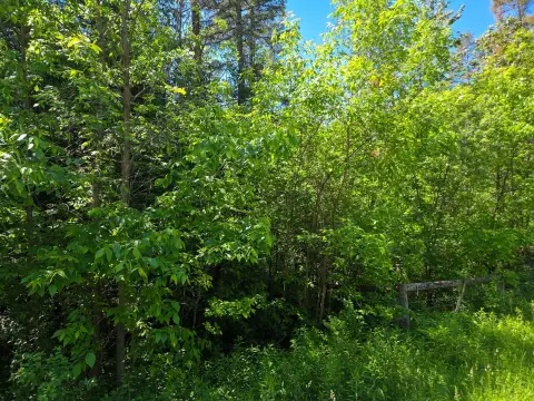 Rural Homesite Parcel