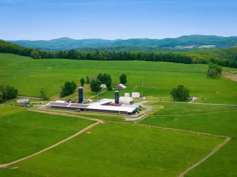 Certified Organic Dairy Farm with Solar