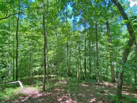 Land Near Dahlonega with Creek
