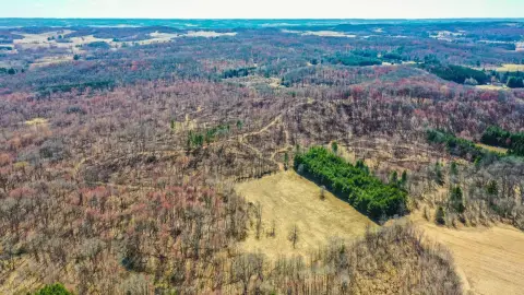 Secluded 80-Acre Hunting Land Retreat