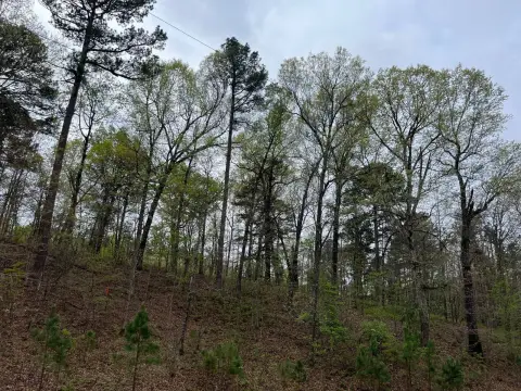 Wooded Land Near Lake Eucha