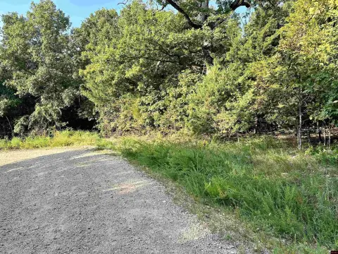 Wooded Acreage Near White River