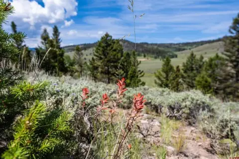 Mountain View Recreational Land