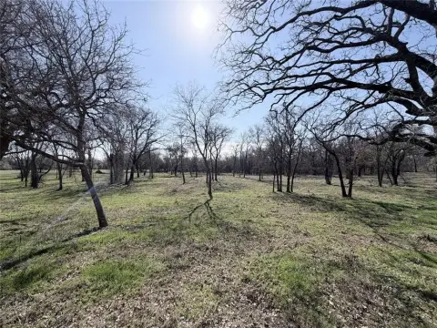 Heavily Treed Land in Whitney