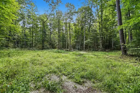 Wooded Recreation Land with Cabin
