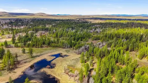 Hunting Land with Pond
