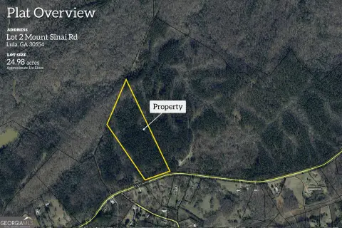 Wooded Hunting and Homesite Tract