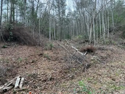 Sevierville Land for Development