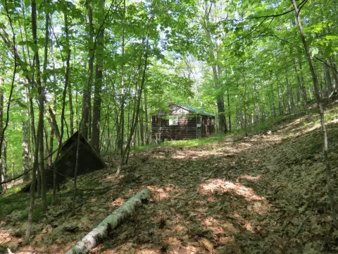 Wooded Hunting Camp Property