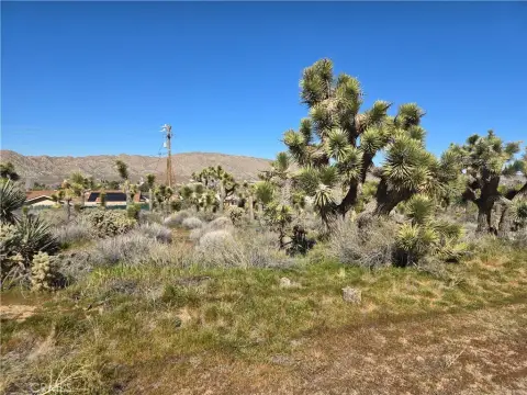 Land in Yucca Valley Foothills
