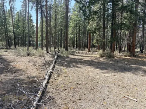 La Pine Land with Utilities