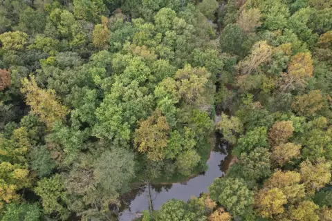 Wooded Hunting Land