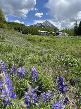 Aviation Club Homesite with Airstrip Access