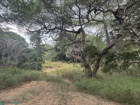 Land in Quiet Pitahaya Neighborhood