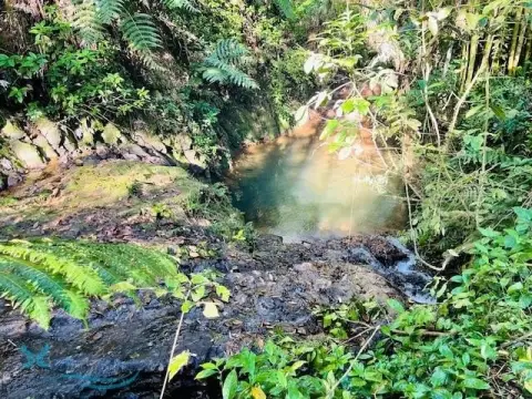 Land with Riverfront and Potential