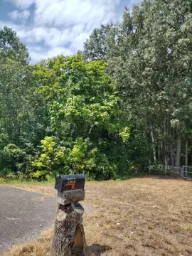 Wooded Industrial Land