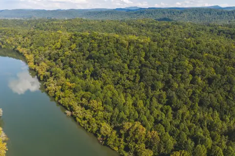 Wooded Holston Riverfront Land