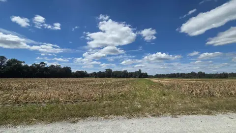Cleared Land Near Cape Fear