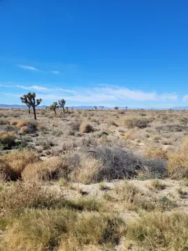 Lancaster Land with Street Frontage