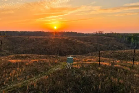 Waterloo, AL Hunting and Recreational Land