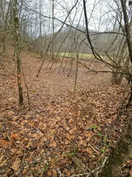 Vacant Land in Copen, WV