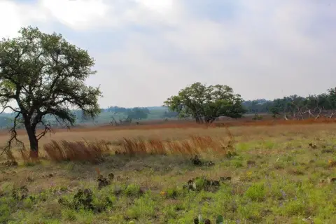 Rural Land Near Harper, Texas