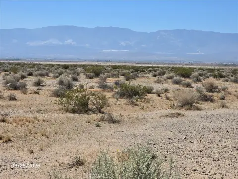 Lucerne Valley Raw Land