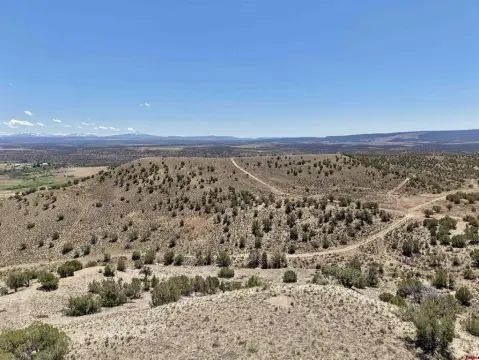 Multi-Parcel Hunting and Recreation Land
