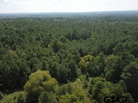 Secluded Wooded Acreage in Rusk, TX