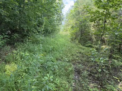 Recreational Land Tract