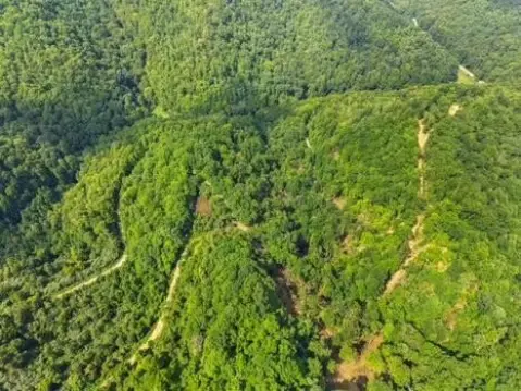 R-1 Land Tract