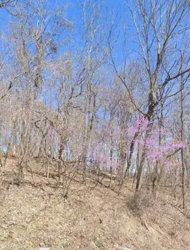 Holiday Island Residential Land