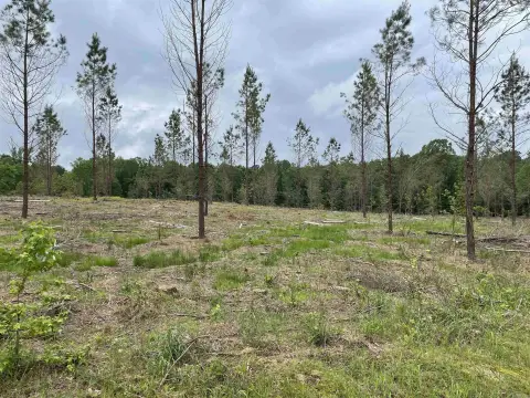 Sheridan, AR Acreage For Sale