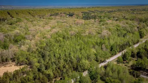 Residential Land in Cabot, AR