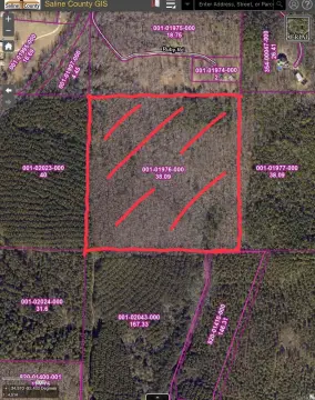 38 Acres of Hardwood Land