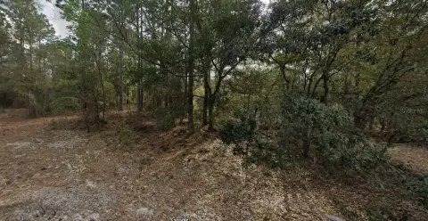 Land in Interlachen, Florida