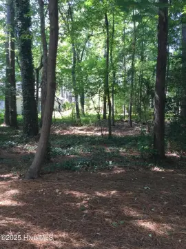 Golf Course Lot in Pinehurst