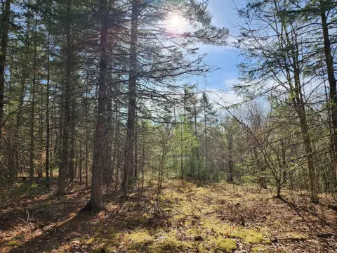 Ausable Forks Land Parcel