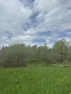 Beekmantown Land with Road Frontage