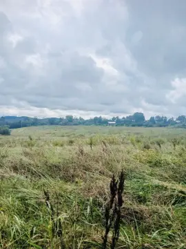 Agricultural Land