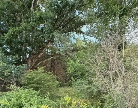 Wooded Residential Development Land