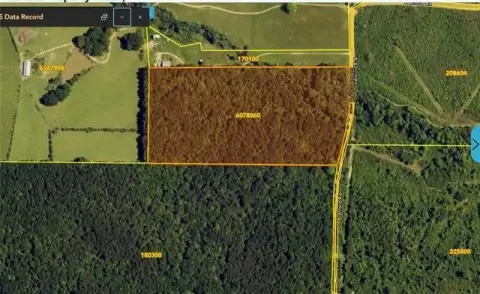 Undeveloped Land Parcel