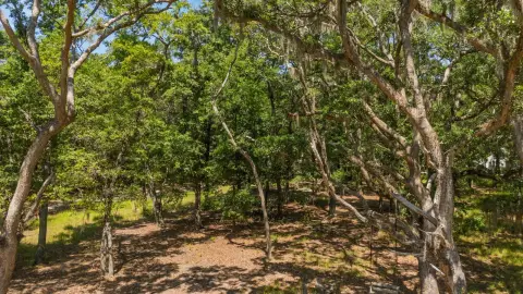 Cleared Land Near Edisto Beach