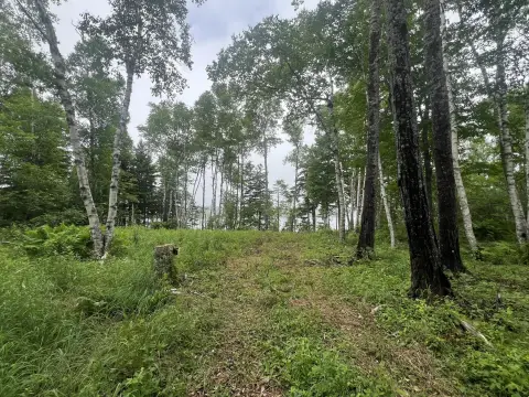 Waterfront Land with Owner Financing