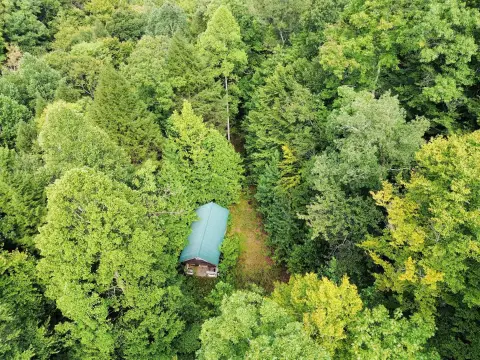 Hunting Land with Cabin