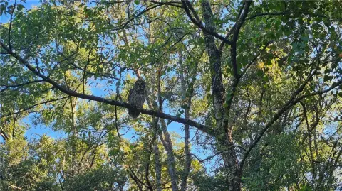 Inverness, FL Land For Sale