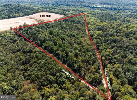 Wooded Mountain Hunting Land with Road Frontage
