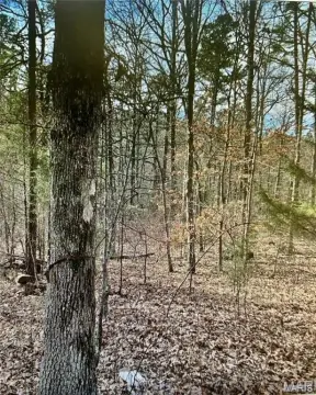 Potosi Land for Recreation/Hunting